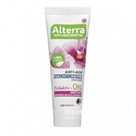 Alterra German Natural Phalaenopsis...