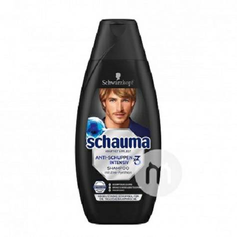 Schwarzkopf German Mens Active Anti...