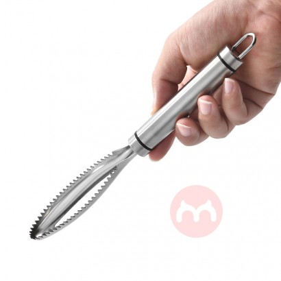 Hinsai High Quality Kitchen Supplies Fish Cleaning Kitchen Skin Brush Fish Scaler Cleaning Tools