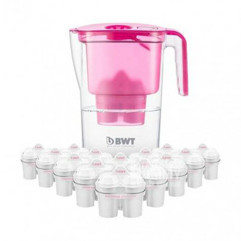 BWT Jerman Magnesium Ion Net Ketel Filter Rumah Tangga Ketel Pot 12 Co...
