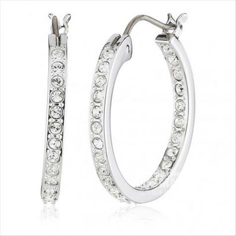 SWAROVSKIオーストリアシュワロフスキー大輪水晶質感イヤリング