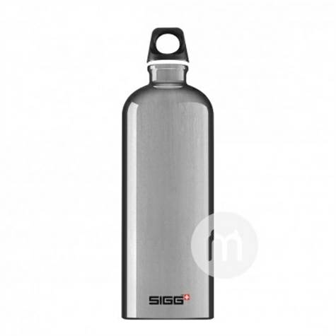 SIGGスイスヒッグポータブルスポーツトラベルカップ600 ml
