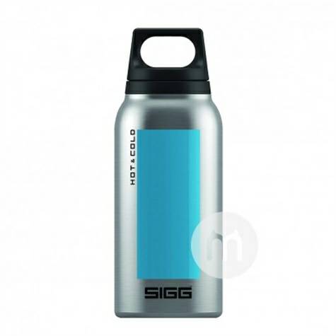 SIGGスイスヒッグ回転式手提げカバー保温カップ300 ml