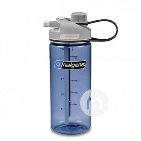 Nalgeneアメリカ楽遺伝子携帯ストローカップ650 ml