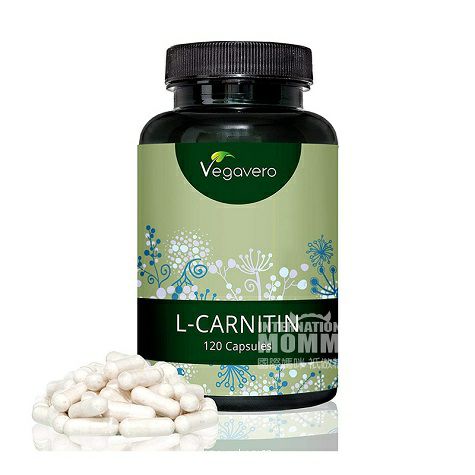 Vegavero 독일 L- 카르니틴캡슐해외판