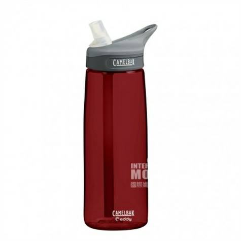 CAMELBAK 아메리칸스포츠휴대용누수방지빨대컵 750ML 해외...