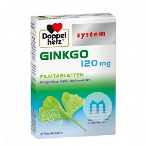 Doppelherz 독일 120mg 은행잎 30 정해외판